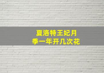 夏洛特王妃月季一年开几次花