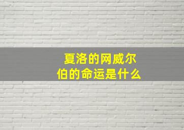 夏洛的网威尔伯的命运是什么