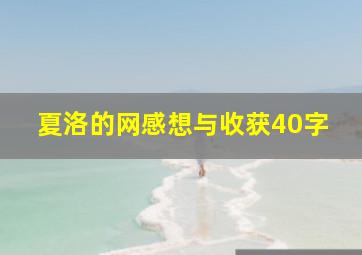 夏洛的网感想与收获40字