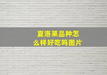 夏洛莱品种怎么样好吃吗图片