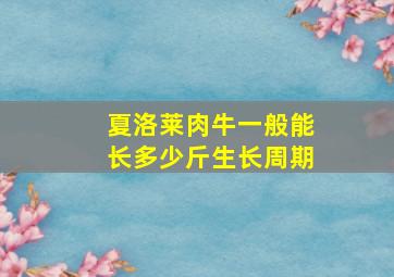 夏洛莱肉牛一般能长多少斤生长周期