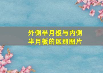 外侧半月板与内侧半月板的区别图片