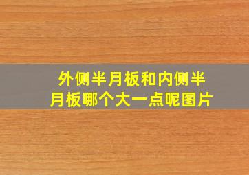 外侧半月板和内侧半月板哪个大一点呢图片