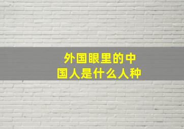 外国眼里的中国人是什么人种