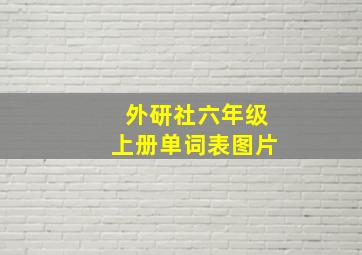 外研社六年级上册单词表图片