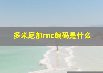 多米尼加rnc编码是什么