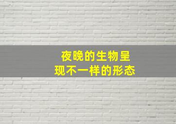 夜晚的生物呈现不一样的形态