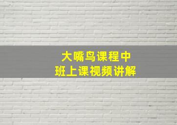 大嘴鸟课程中班上课视频讲解