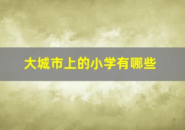 大城市上的小学有哪些