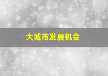 大城市发展机会