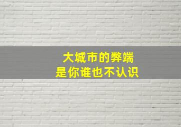 大城市的弊端是你谁也不认识