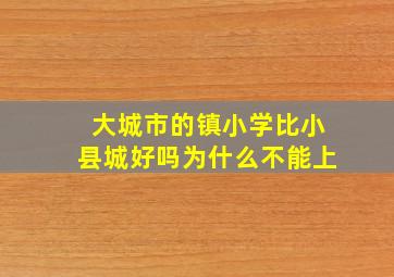 大城市的镇小学比小县城好吗为什么不能上