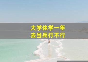 大学休学一年去当兵行不行