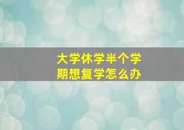 大学休学半个学期想复学怎么办