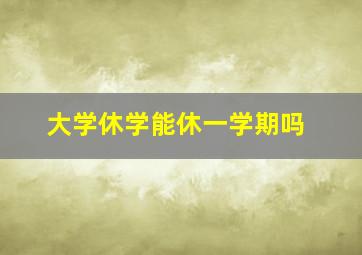 大学休学能休一学期吗