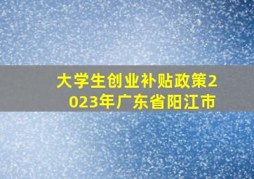 大学生创业补贴政策2023年广东省阳江市