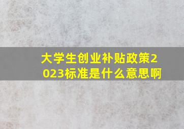 大学生创业补贴政策2023标准是什么意思啊