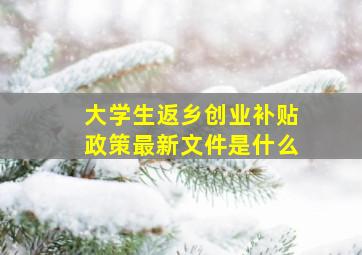 大学生返乡创业补贴政策最新文件是什么