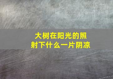 大树在阳光的照射下什么一片阴凉