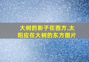 大树的影子在西方,太阳应在大树的东方图片