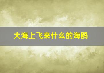 大海上飞来什么的海鸥