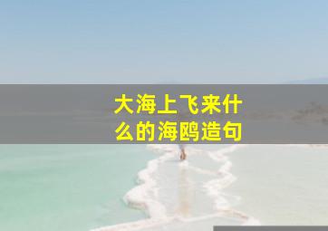 大海上飞来什么的海鸥造句