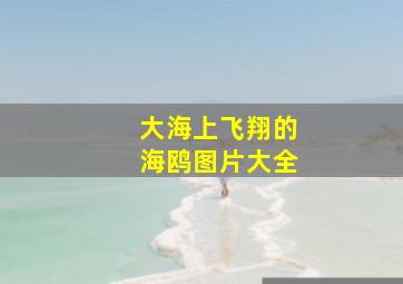 大海上飞翔的海鸥图片大全