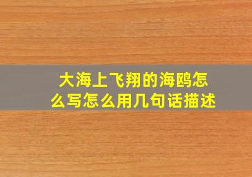 大海上飞翔的海鸥怎么写怎么用几句话描述