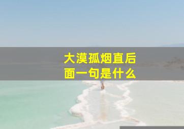 大漠孤烟直后面一句是什么