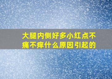 大腿内侧好多小红点不痛不痒什么原因引起的