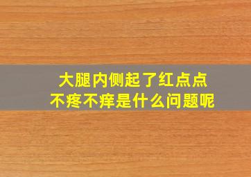 大腿内侧起了红点点不疼不痒是什么问题呢