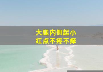 大腿内侧起小红点不疼不痒