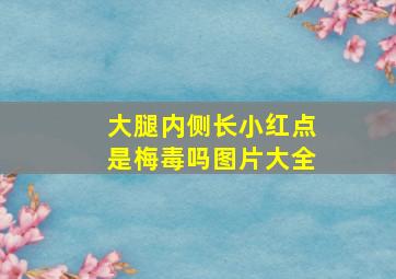 大腿内侧长小红点是梅毒吗图片大全