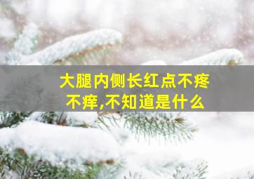 大腿内侧长红点不疼不痒,不知道是什么