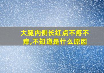 大腿内侧长红点不疼不痒,不知道是什么原因