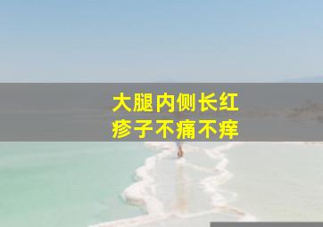 大腿内侧长红疹子不痛不痒