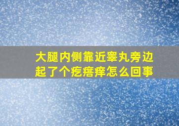 大腿内侧靠近睾丸旁边起了个疙瘩痒怎么回事