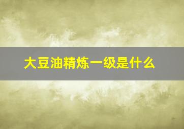 大豆油精炼一级是什么