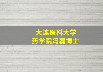 大连医科大学药学院冯磊博士