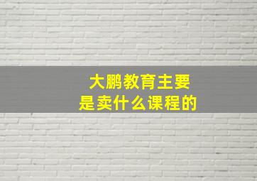 大鹏教育主要是卖什么课程的