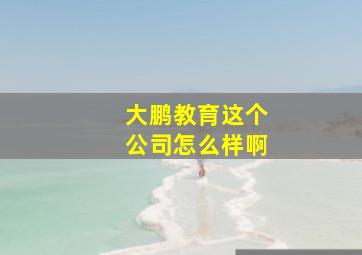 大鹏教育这个公司怎么样啊