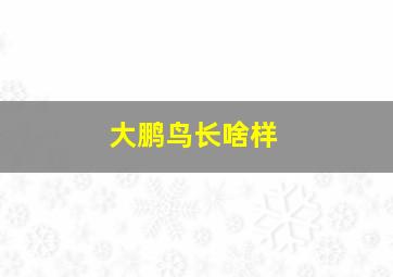 大鹏鸟长啥样