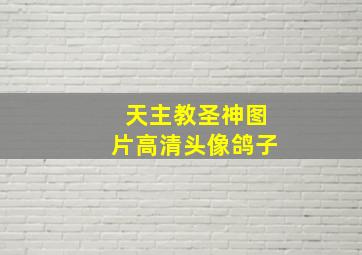 天主教圣神图片高清头像鸽子