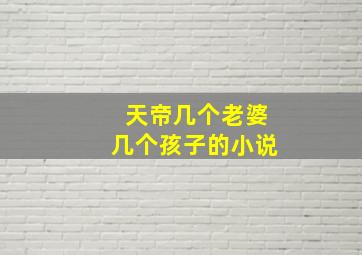 天帝几个老婆几个孩子的小说