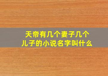 天帝有几个妻子几个儿子的小说名字叫什么