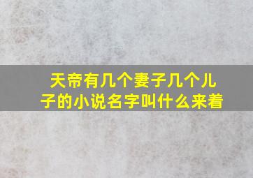 天帝有几个妻子几个儿子的小说名字叫什么来着