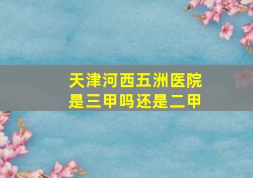 天津河西五洲医院是三甲吗还是二甲