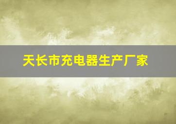 天长市充电器生产厂家