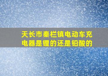 天长市秦栏镇电动车充电器是锂的还是铅酸的