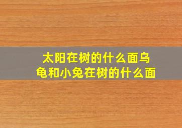 太阳在树的什么面乌龟和小兔在树的什么面